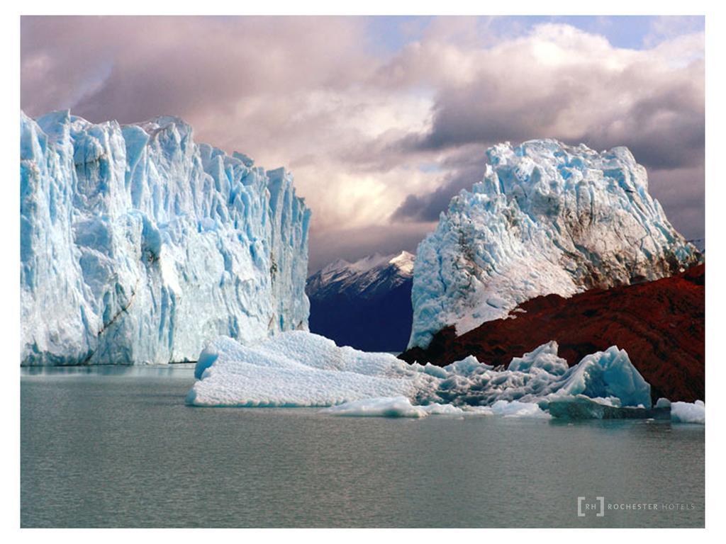 Rochester Calafate